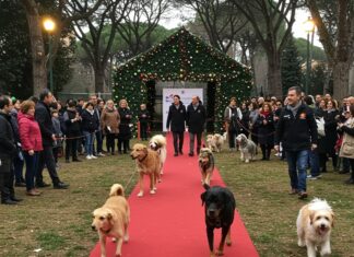 Adozioni consapevoli