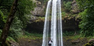 Democrazia ambientale