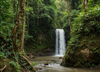 Attivismo ambientale