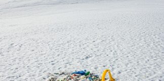 Contaminazione alpina