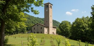Riforestazione Appennino