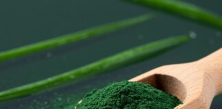 Alga spirulina