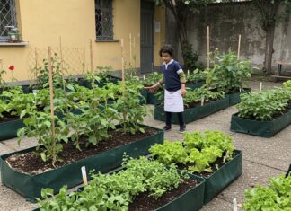 Educazione ambientale