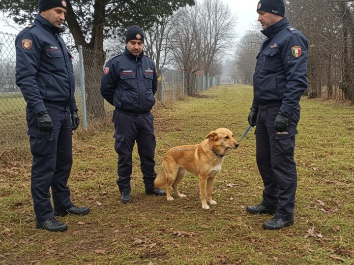 2_maltrattamento_animali Maltrattamento animali