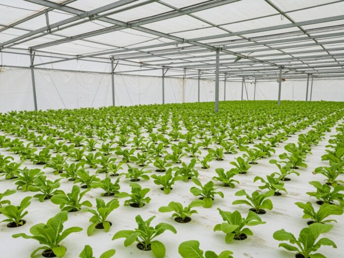 5_coltivazione_sicura Coltivazione sicura