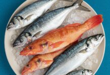 Acquisti consapevoli: la stagionalità del pescato Pesca sostenibile