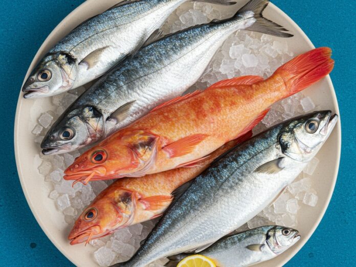 5_pesca_sostenibile Pesca sostenibile