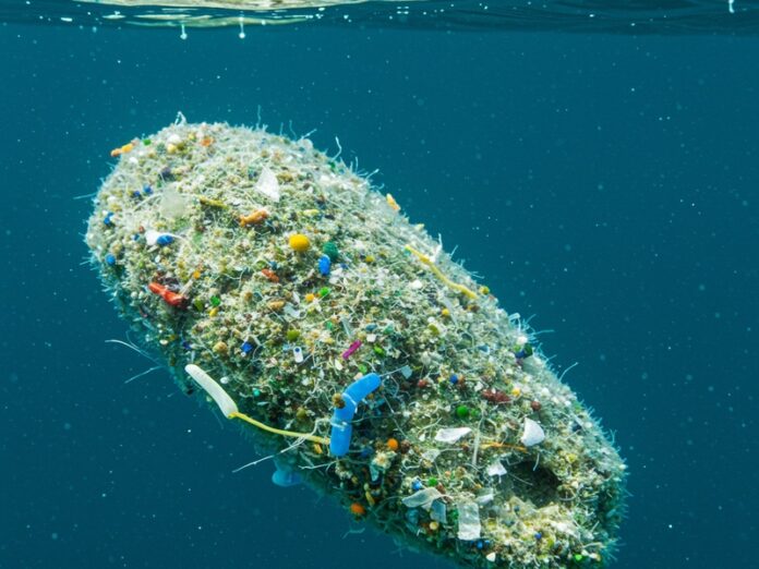 Batteri mangiaplastica