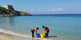 Ripristino biodiversità