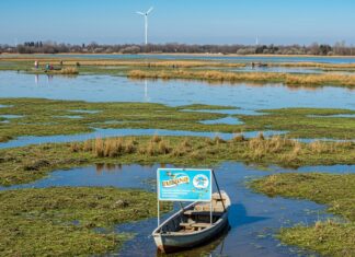 Giornata mondiale delle zone umide: un appello globale Zone umide