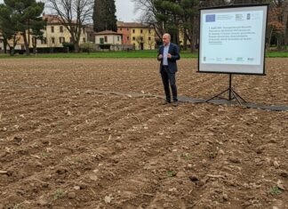 Ue: a Bruxelles un workshop sulla salute del suolo Protezione suolo