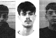 Vincenzo Giovanni Lucci Percich, Mario Puggillo e Carlo Forte