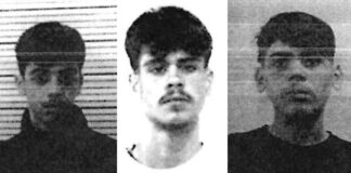 Vincenzo Giovanni Lucci Percich, Mario Puggillo e Carlo Forte