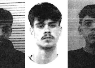 Vincenzo Giovanni Lucci Percich, Mario Puggillo e Carlo Forte