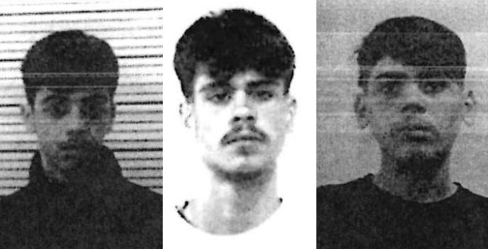 Vincenzo Giovanni Lucci Percich, Mario Puggillo e Carlo Forte