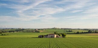 Conversione ecologica