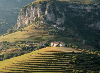 Italia: calo nascite, un indicatore ambientale Sostenibilità demografica