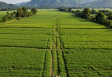 Crisi ecologica: i tre veleni che minacciano il Pianeta Etica ambientale