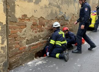Firenze: vigili del fuoco salvano cane in un cunicolo Salvataggio animale