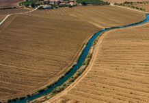 Sicilia: nuovo piano contro la desertificazione Contrasto desertificazione