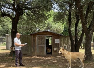 Valdarno: abbonamento palestra per aiutare gli animali Sostegno animali