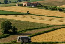 Pianura Padana: meno riso per ridurre le emissioni Agricoltura sostenibile