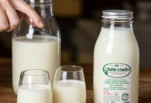 Latte crudo in Italia: mappa, rischi e proprietà Alimento naturale