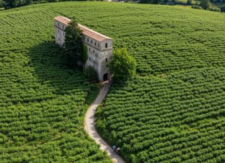 Giovani e ambiente: molta sensibilità, poca conoscenza Conoscenza lacunosa