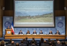 Ginevra, nasce il panel ONU su chimica e rifiuti Politiche ambientali