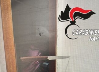 Urla per il rigore negato durante Atalanta-Napoli e la moglie lo accoltella Coltello lanciato