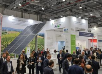 Energia: la sfida italiana per la decarbonizzazione Energia pulita