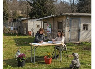 Enpa Monza: porte aperte per i tesseramenti 2026 Sostegno animali