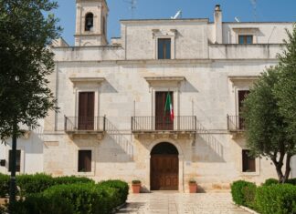 Ruvo di Puglia: salvato un gattino di due mesi Soccorso animale