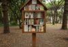 Casette per libri: il bookcrossing diventa ecologico Cultura sostenibile