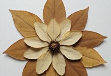Le foglie d’autunno diventano decorazioni uniche Riciclo creativo