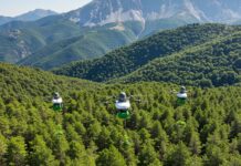 Appennino: droni pianteranno un milione di alberi Riforestazione tecnologica