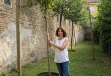 Bologna: il progetto ‘Albero Sospeso’ per la città Solidarietà ambientale