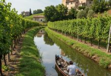 Verona: allarme pesticidi nella coltivazione fragole Coltivazione sostenibile