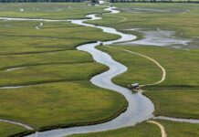 Delta del Po: nuovo piano per salvare le lagune Tutela ambientale