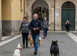 Crotone: passeggiata per cani contro il randagismo Benessere animale
