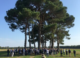 Porto Garibaldi: rivolta per salvare i tigli Rivolta tigli