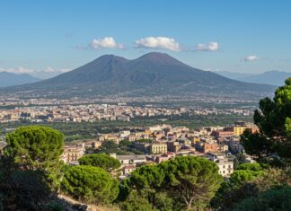 Servizio Civile: volontari per il Parco del Vesuvio Volontariato ambientale