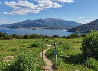 Blue Green Economy Award 2026: aperte le candidature Economia blu