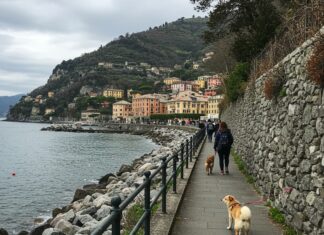 Bordighera: una passeggiata per i cani del rifugio Benessere animale