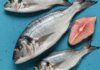 Pesce selvatico contro allevato: la guida Scelta consapevole