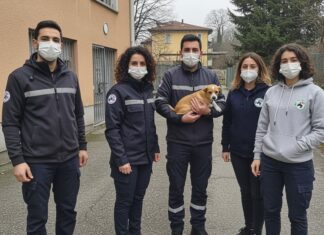 ENPA Brescia: corso per formare nuovi volontari Volontariato animalista