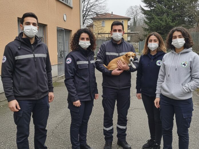 4_volontariato_animalista Volontariato animalista