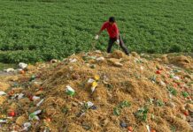 Cina: legge e multe contro lo spreco alimentare Spreco alimentare