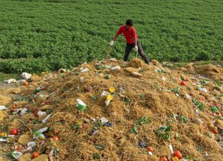 Cina: legge e multe contro lo spreco alimentare Spreco alimentare
