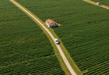 Decreto Agricoltura: stop al fotovoltaico sui campi Emergenza ambientale